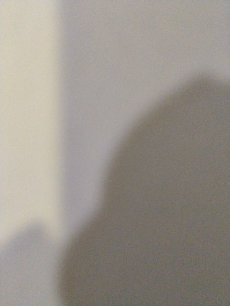 लता सुनील काळे