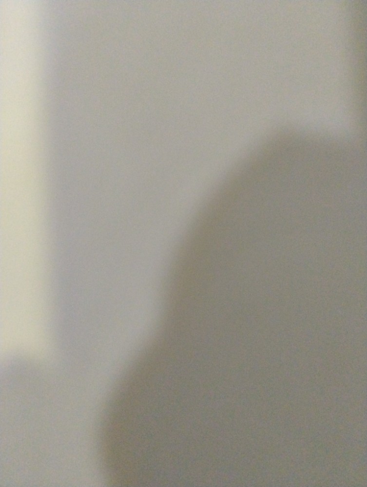 हर्षल ईश्वरदास साबळे